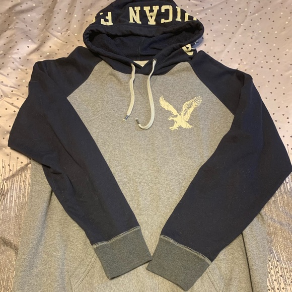 American Eagle Outfitters Other - American Eagle Mens Hoodie